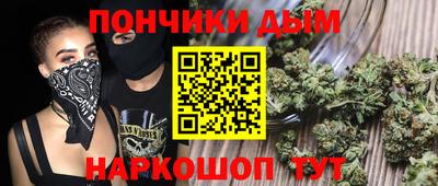 дмт Можга