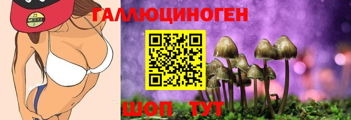 Псилоцибиновые грибы Magic Shrooms Тимашёвск
